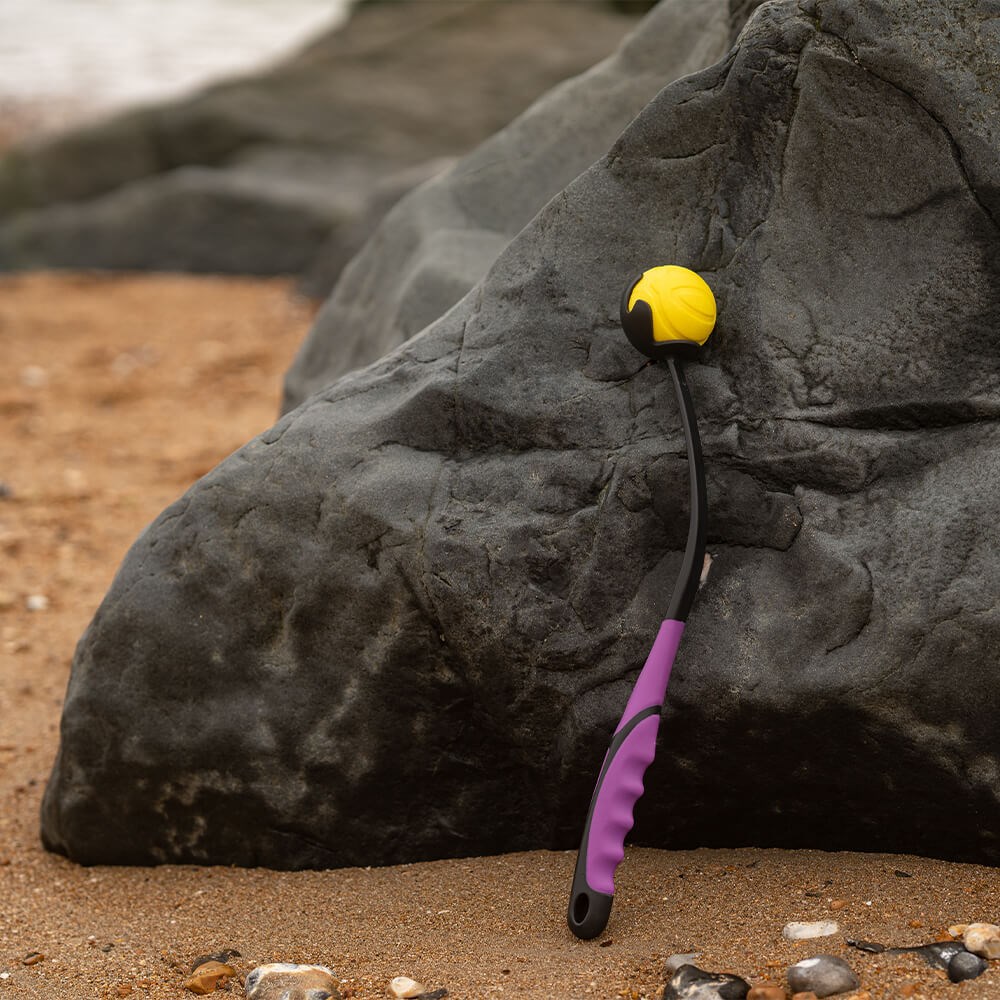 Great & Small Frubba Throw Launcher Dog Toy