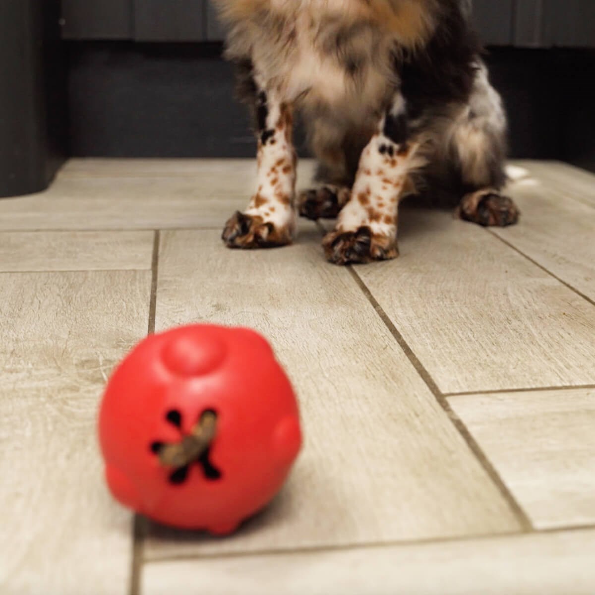 Frogg Egg Pink Tough Dog Toy