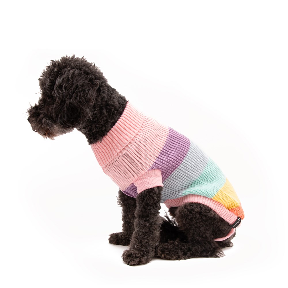 Great & Small Penrose Knitted Pastel Rainbow Dog Jumper