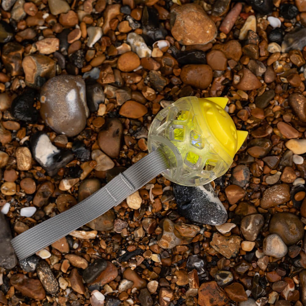 Great & Small Frubba Flash Throw Dog Toy