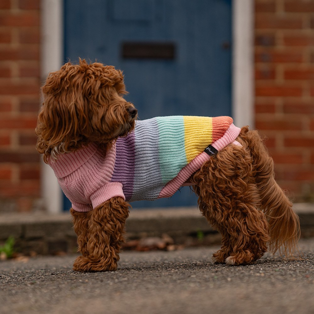 Great & Small Penrose Knitted Pastel Rainbow Dog Jumper