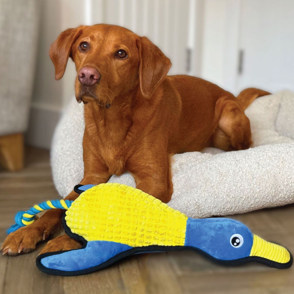 Great & Small Fortress Waterfowl Extra Large Dog Toy
