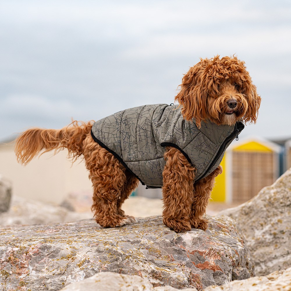 Great & Small Penrose Aurora Reflective Puffer Jacket