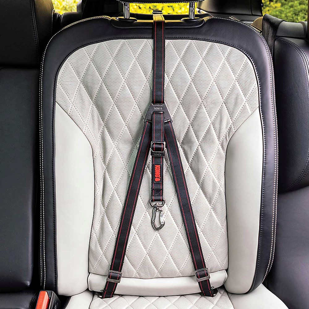 Kong Ultimate Safety Tether