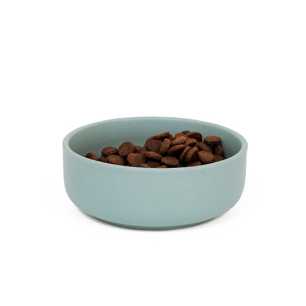 Great & Small Penrose Teal Stoneware Pet Bowl