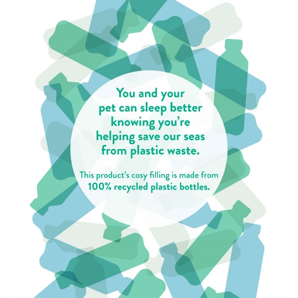 Great & Small Paws & Snores Green Eco Pet Blanket Bed