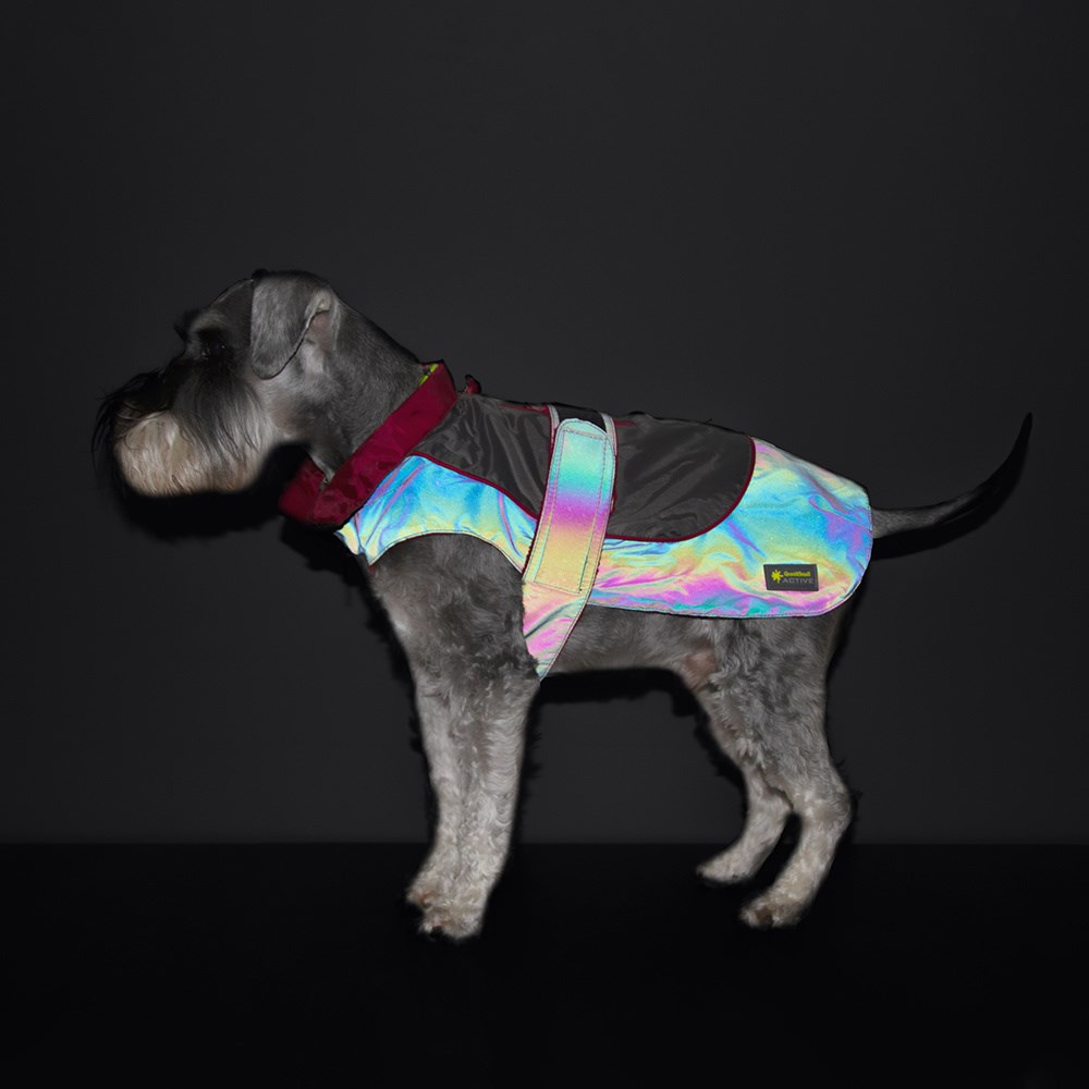 Great & Small Active Reflective Rainbow Raincoat Red Trim Dog Coat