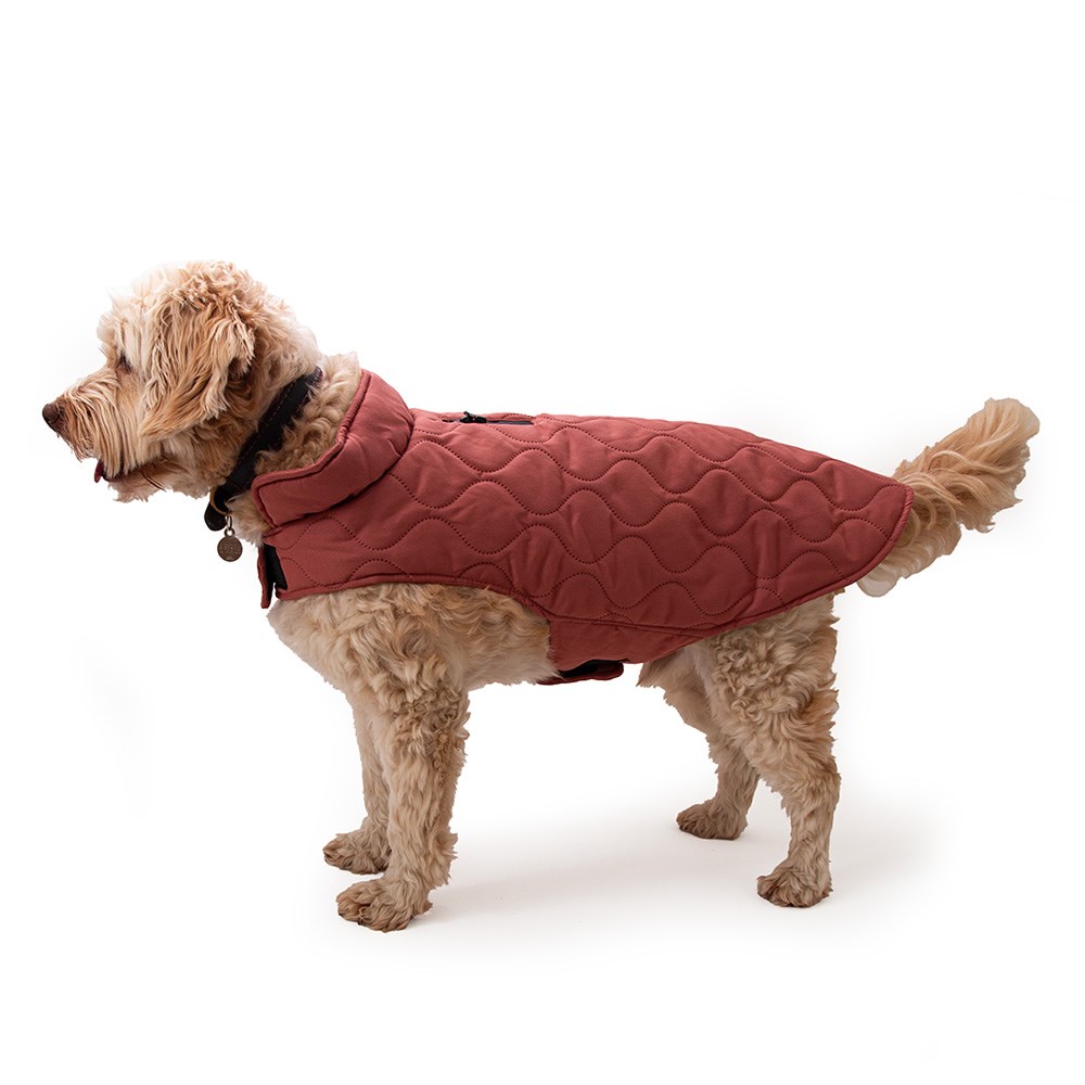 Great & Small Penrose Summer Sunset Pink Twill Padded Coat