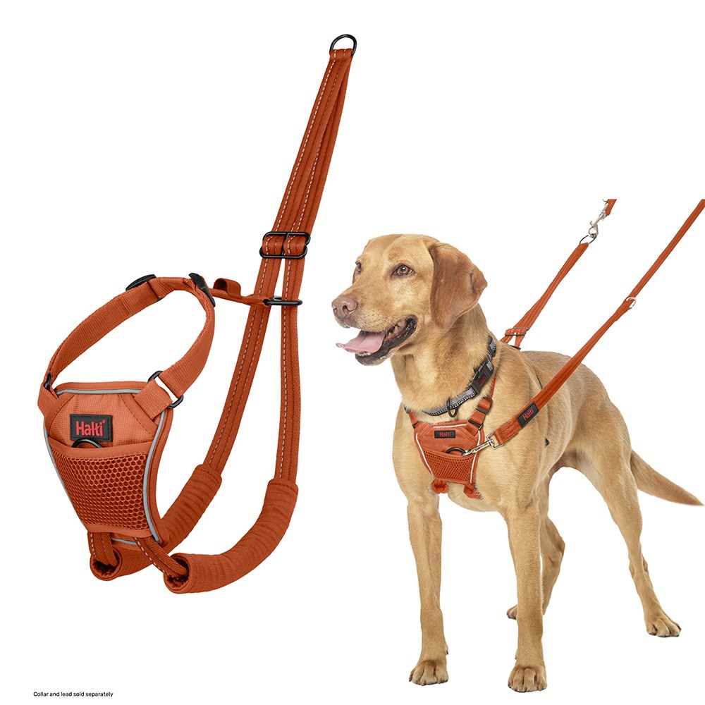 Halti No Pull Dog Harness Burnt Orange