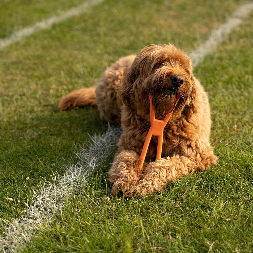 Great & Small 99% Natural Rubber Pull Dog Toy