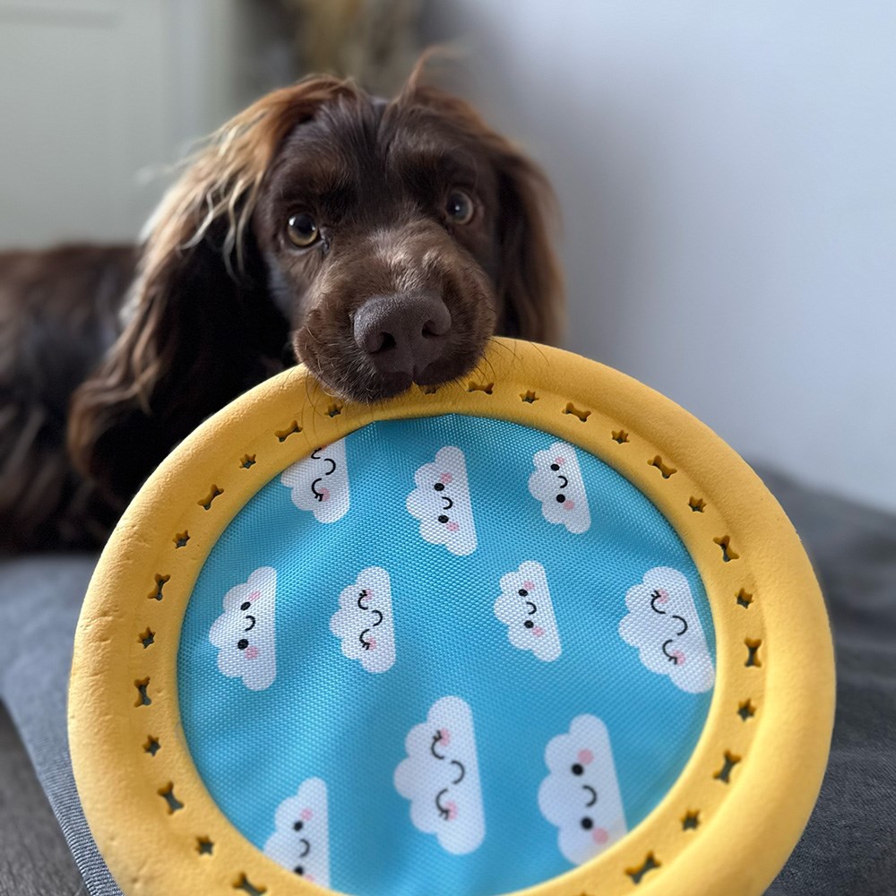 Great & Small Summer Sizzlers Frisbee Dog Toy