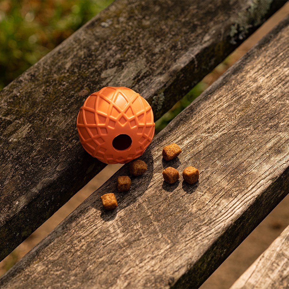 Great & Small 99% Natural Rubber Hollow Ball Dog Toy