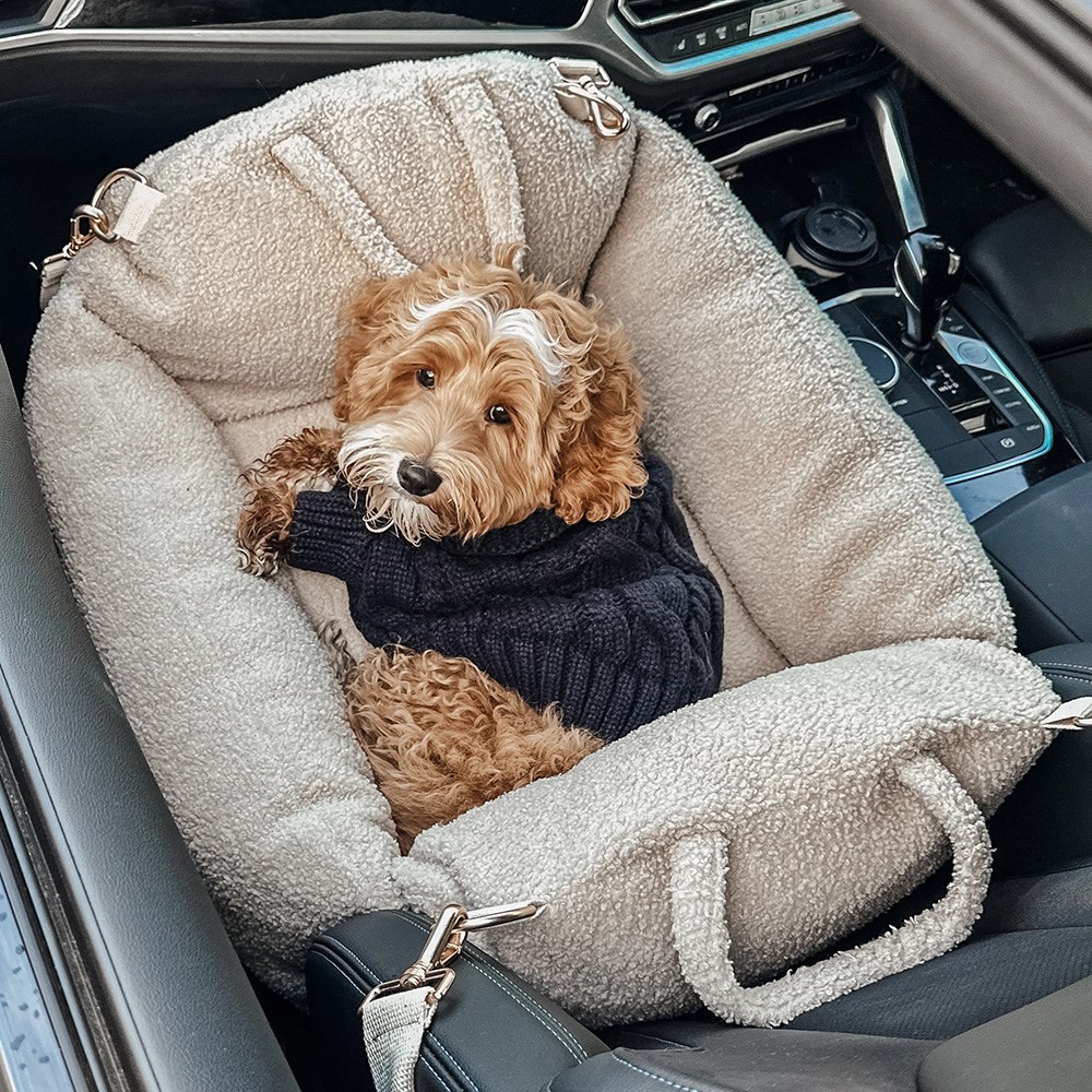 By Teddy Bouclé Car Carrier