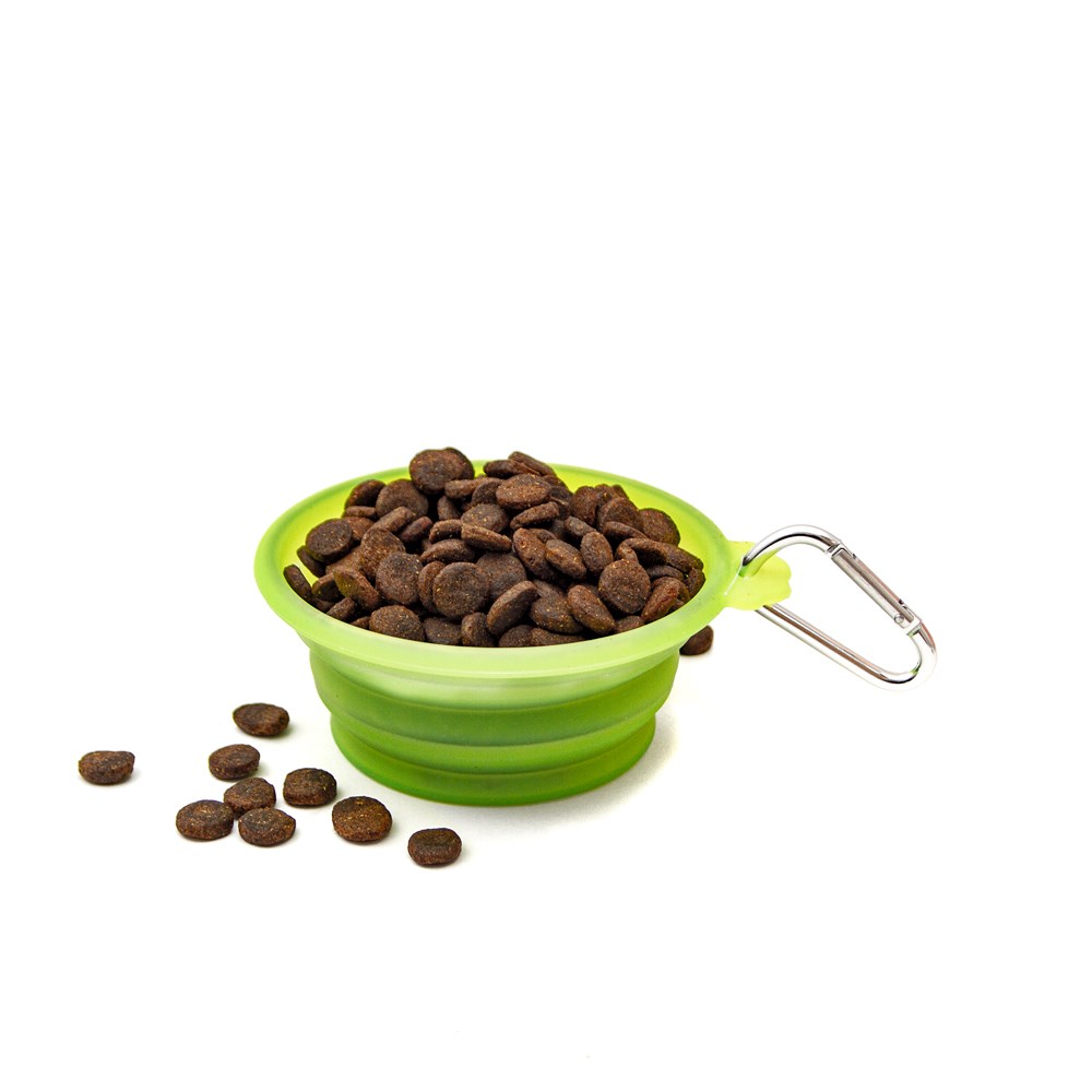 Great & Small Active Travel Pet Bowl 370ml