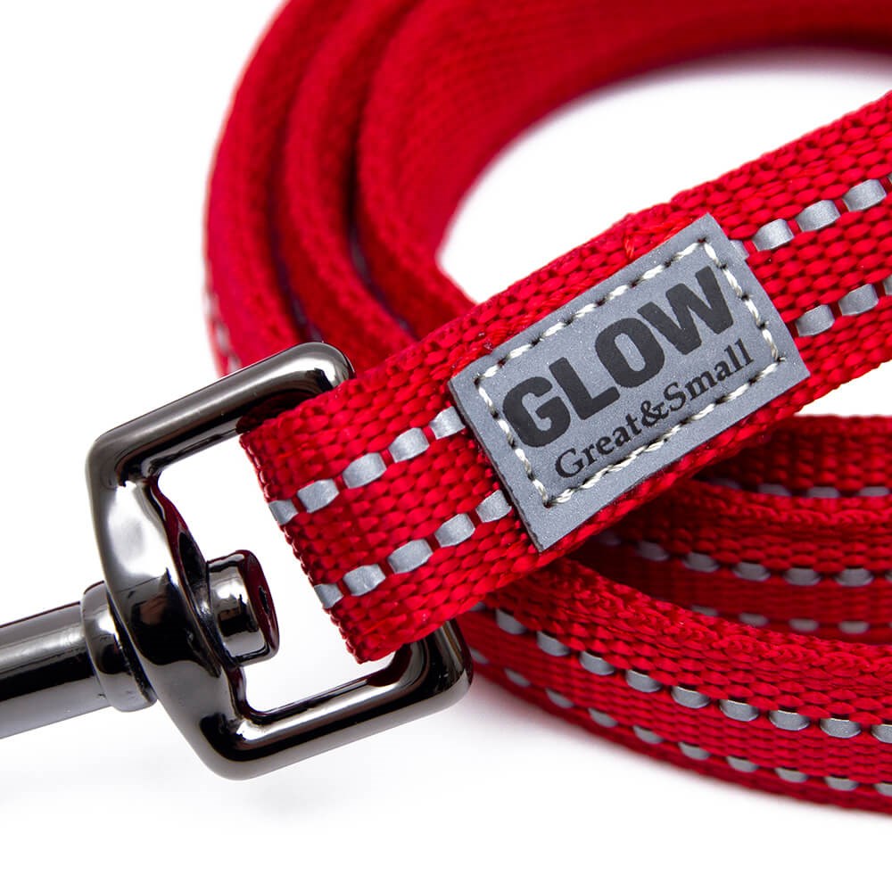 Great & Small Glow Dog Lead Red