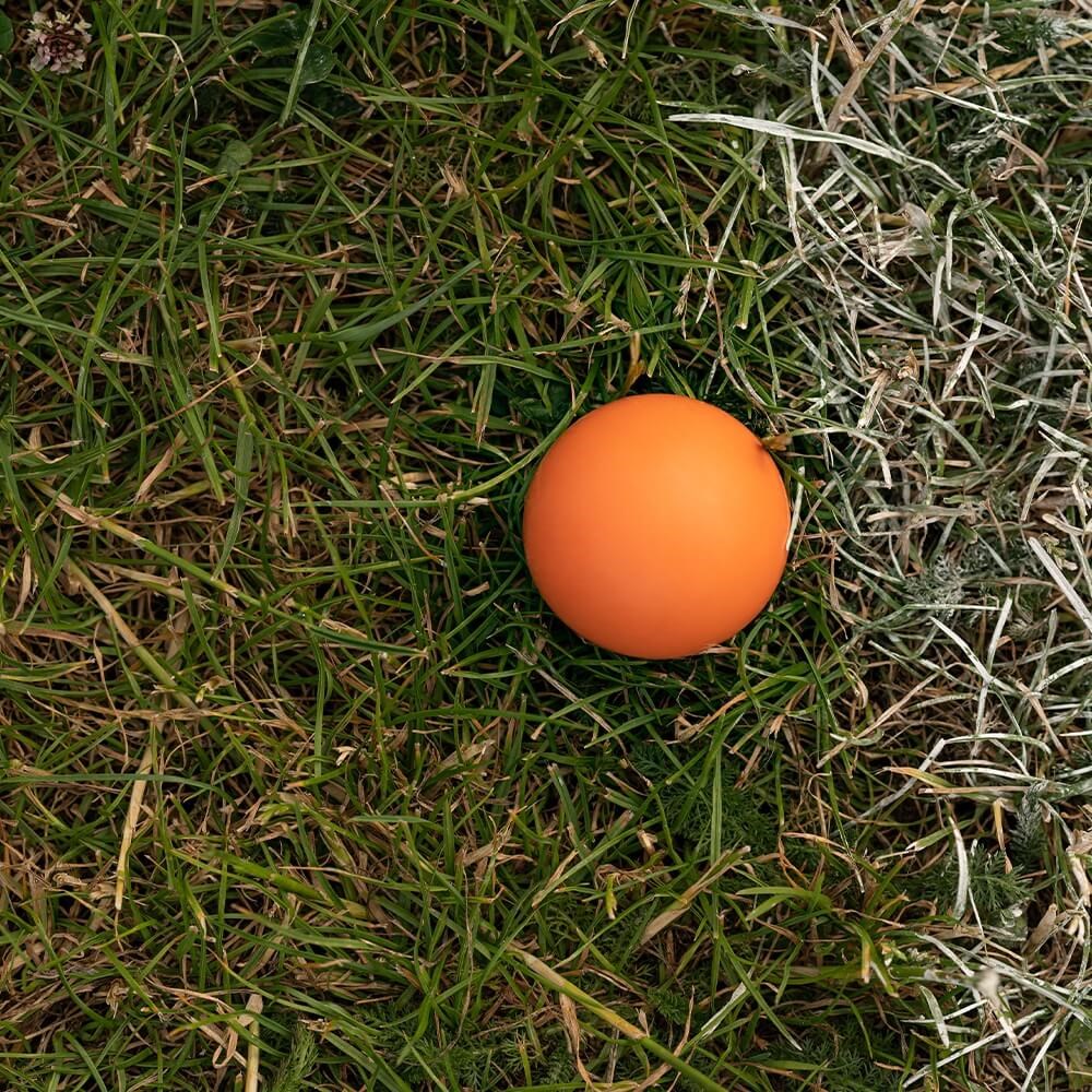 Great & Small 99% Natural Rubber Ball Dog Toy