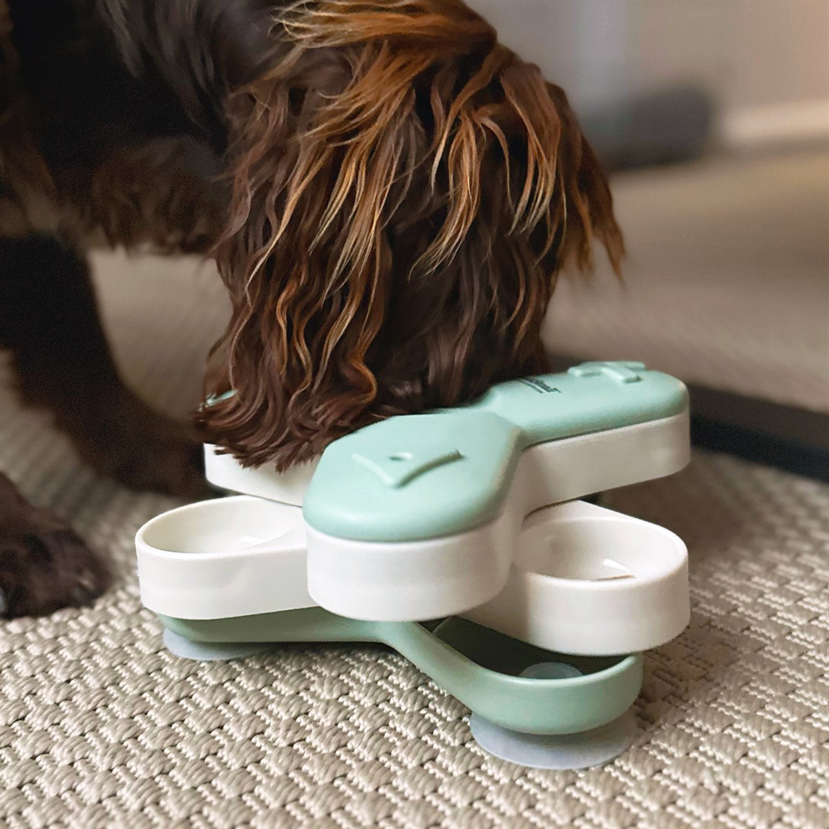 Great & Small Slow Down Rotating Puzzle Feeder