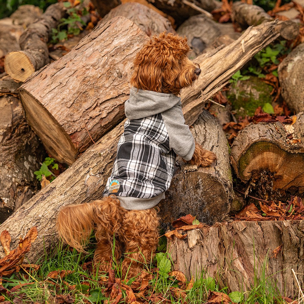 Great & Small Country Adventure Black Check Dog Hoodie