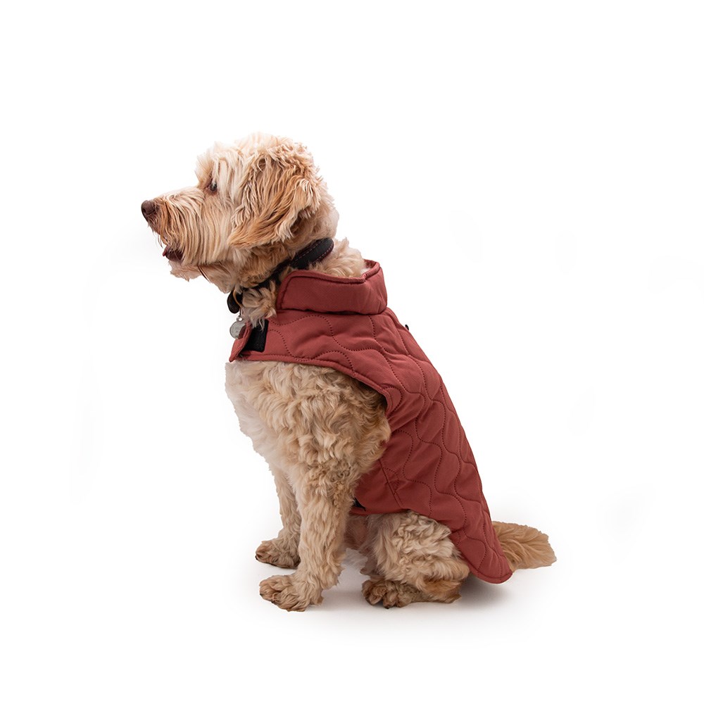 Great & Small Penrose Summer Sunset Pink Twill Padded Coat