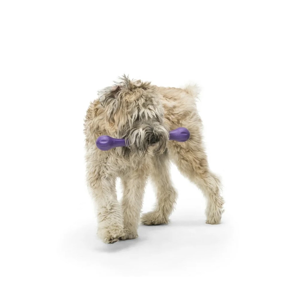 West Paw Zwig Eggplant Dog Toy