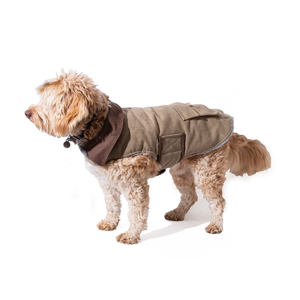 Great & Small Country Brown Canvas Coat