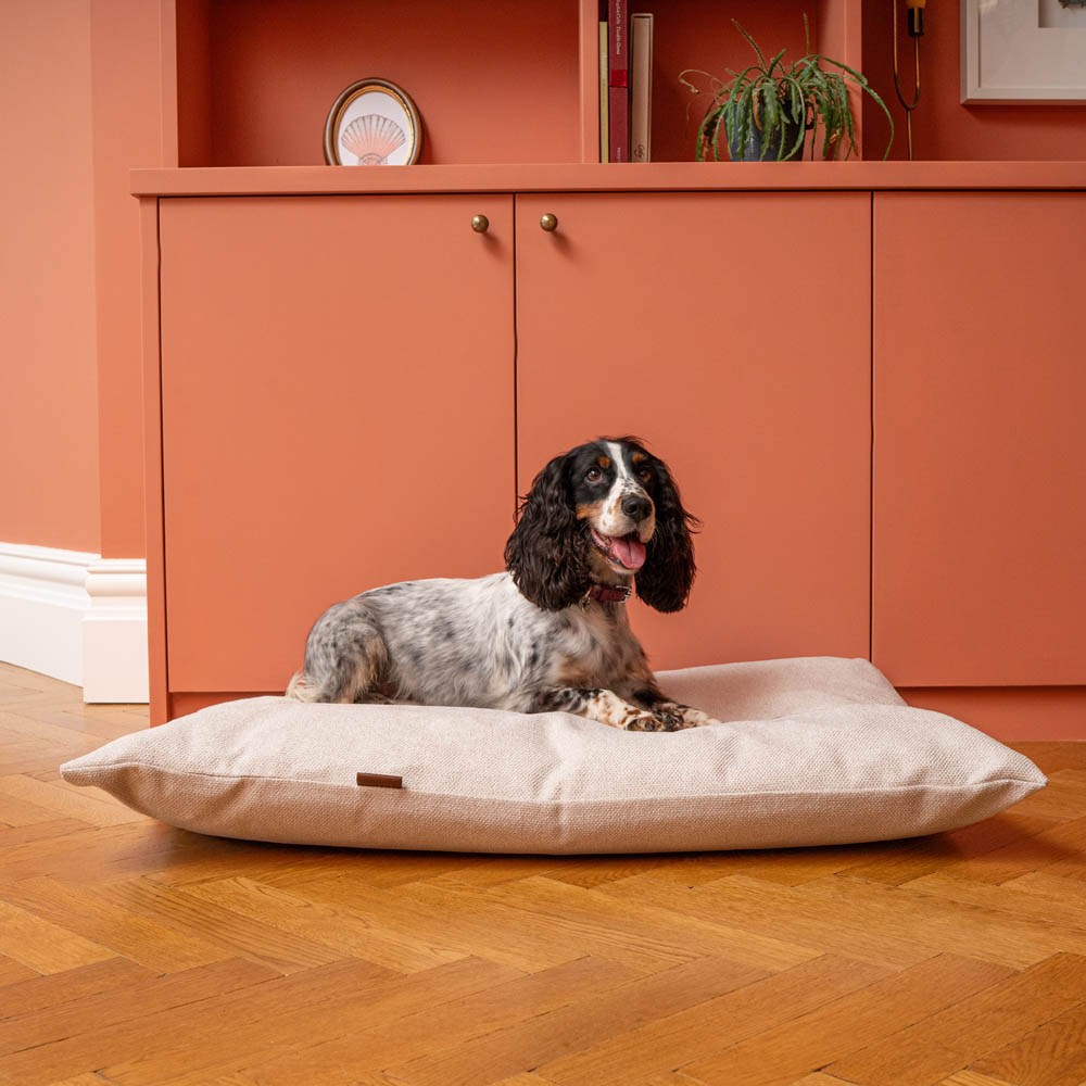 Great & Small Hawkhurst Victoria Mattress in Cream Dog Bed