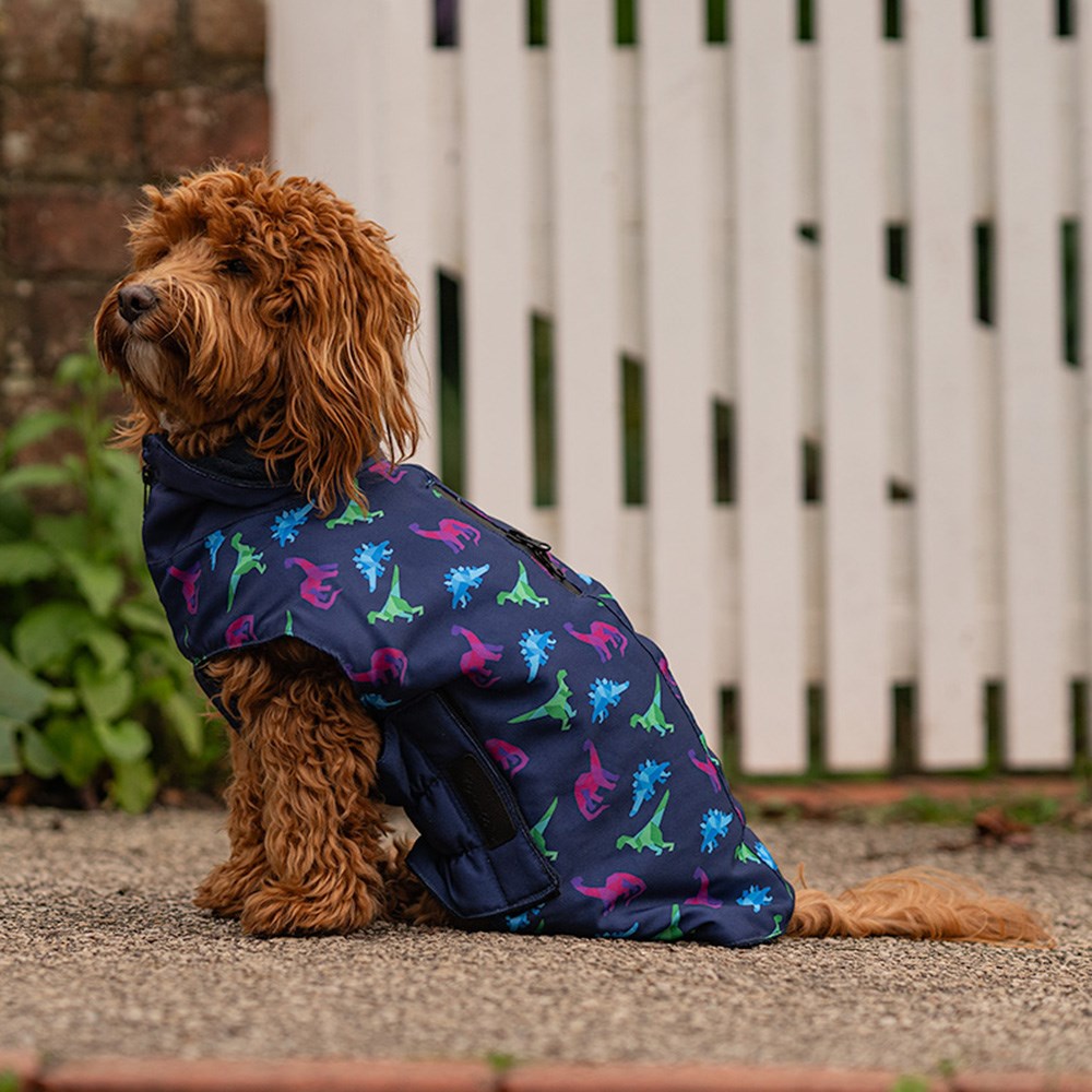 Great & Small Penrose Blue Dinosaur Dog Coat