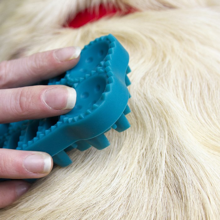 Great & Small Bone Shape Rubber Pet Grooming Brush