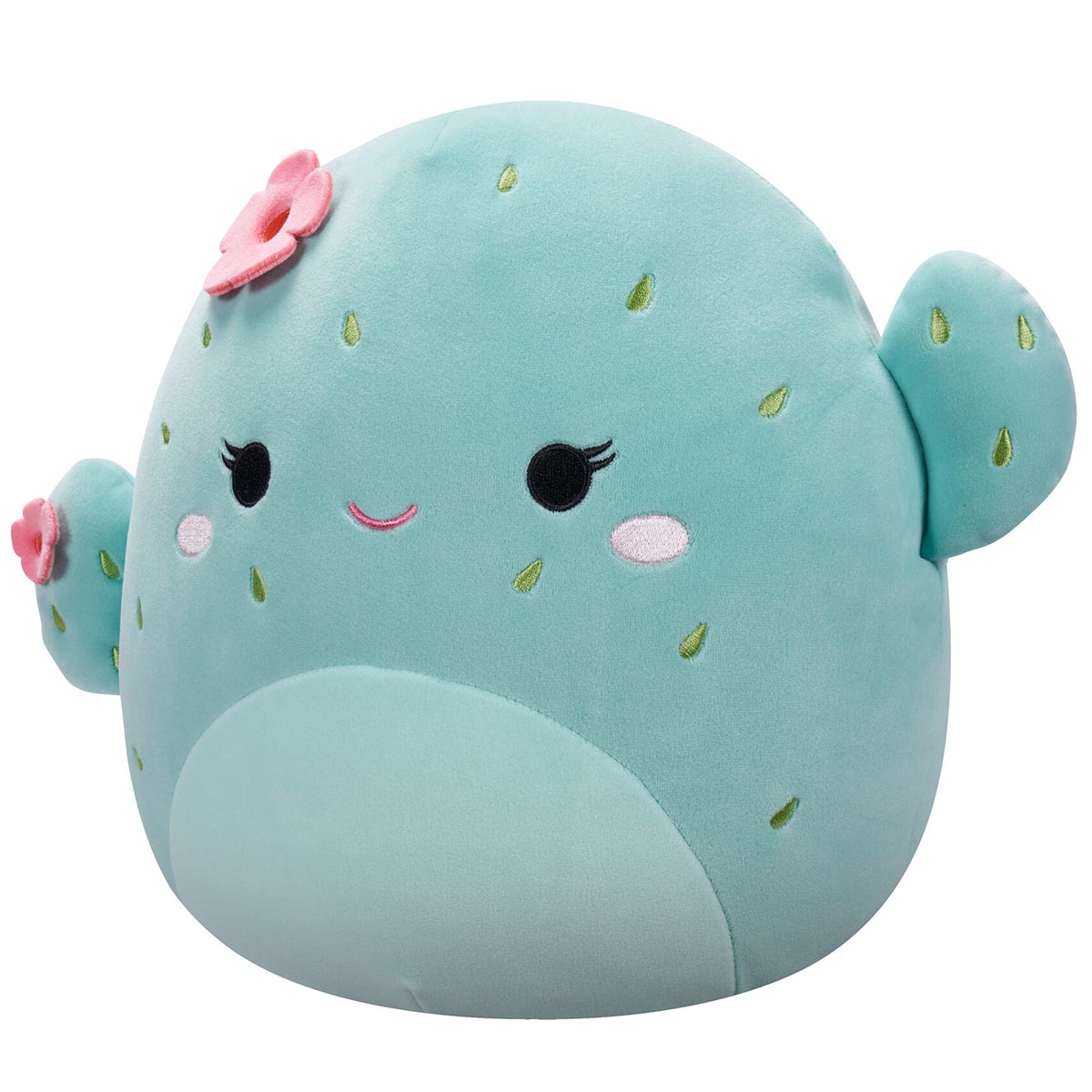 12-Inch Graciela the Mint Barrel Cactus