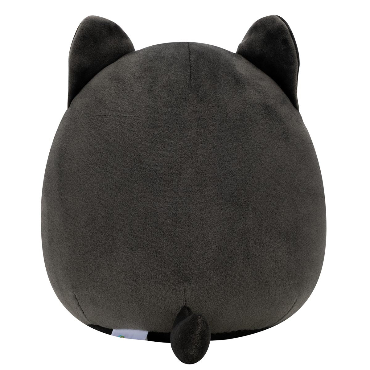 Autumn the Black Cat with Purple Belly