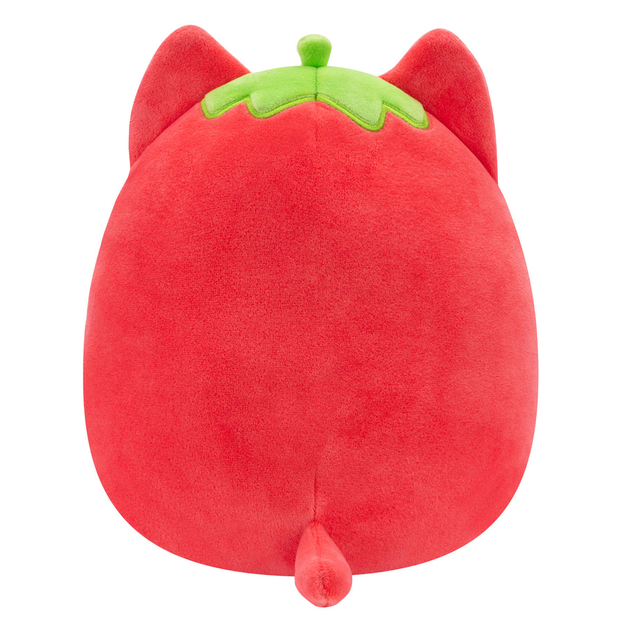 Olma the Strawberry Cat