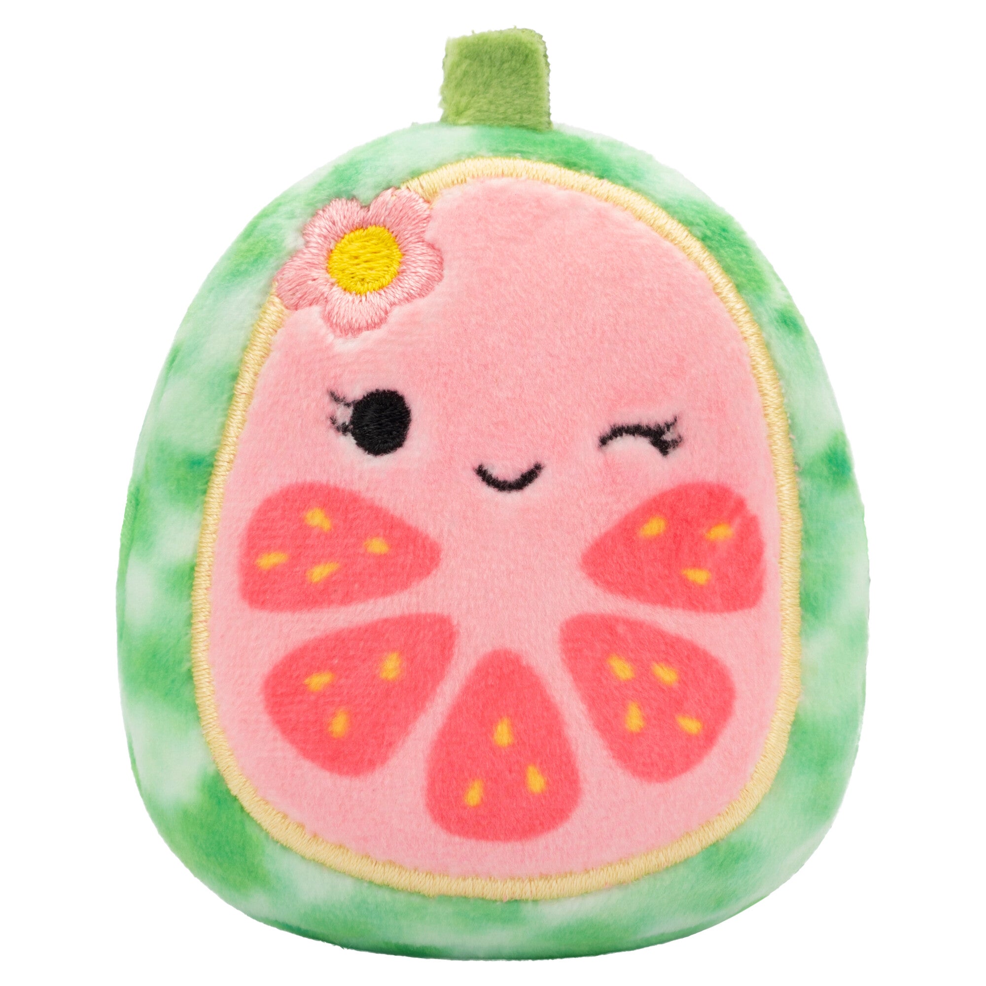 Micromallows 6-Pack – Danny Dinosaur Dane Dragon. Malcolm Mushroom. Lena Guava Fruit. Leonard Lion. Noah Seal