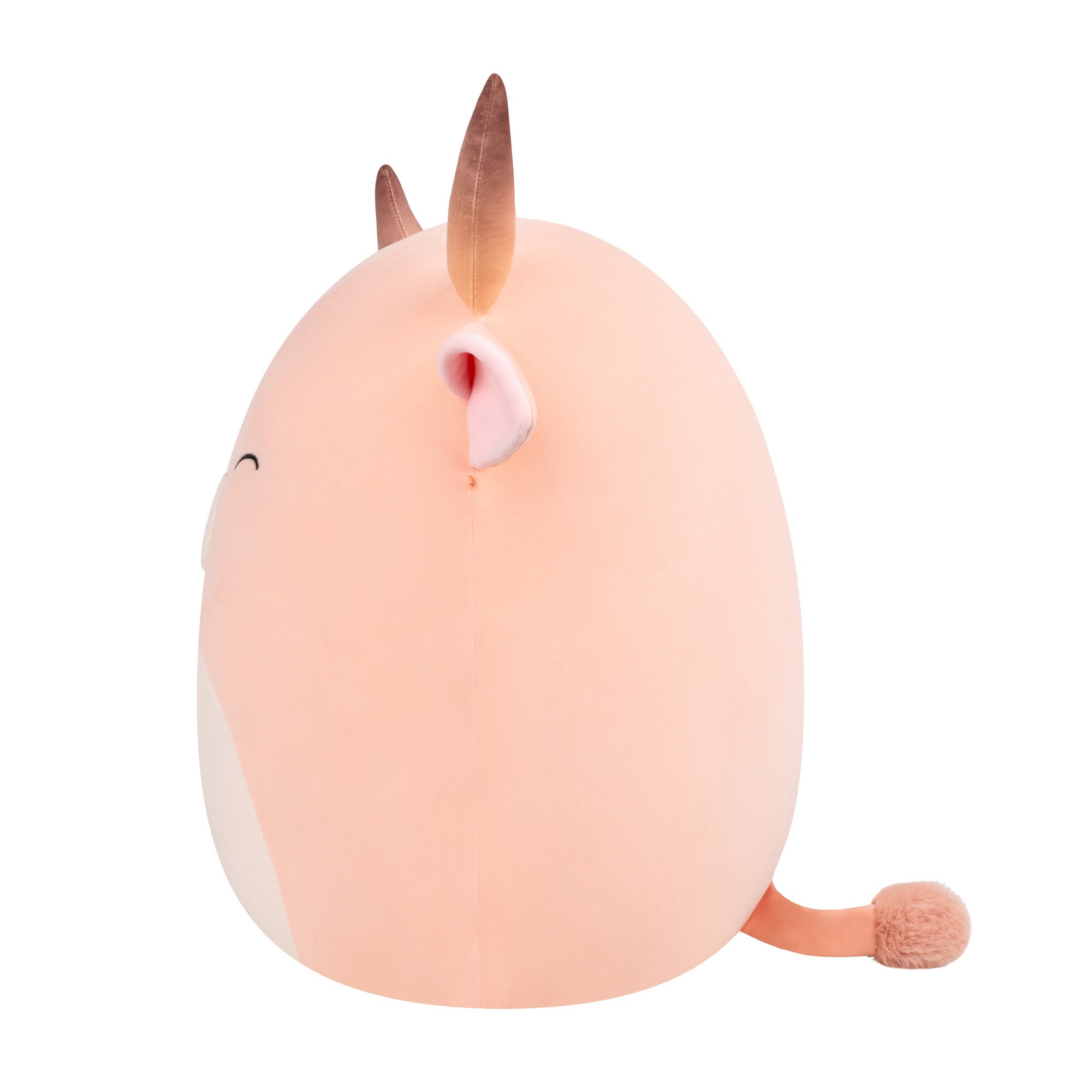 20-Inch Howland the Peach Brahman Bull