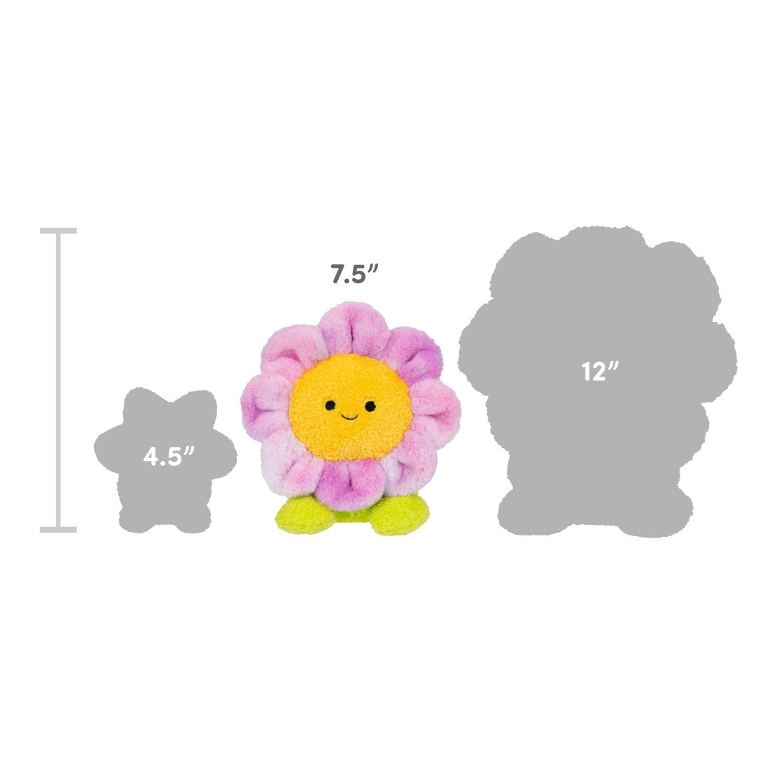 Venus Fly Trap Vinnie