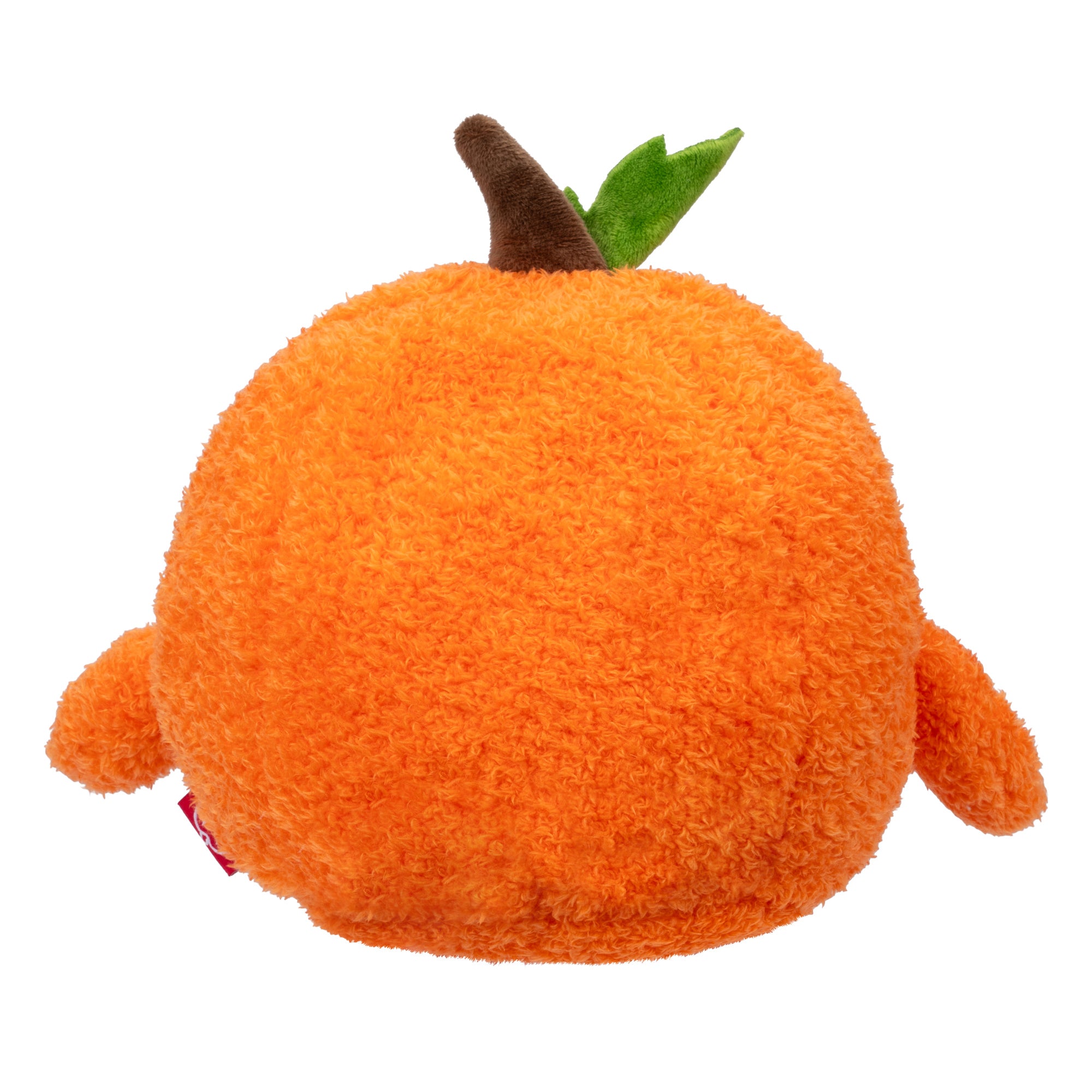 Jack O' Lantern Jared