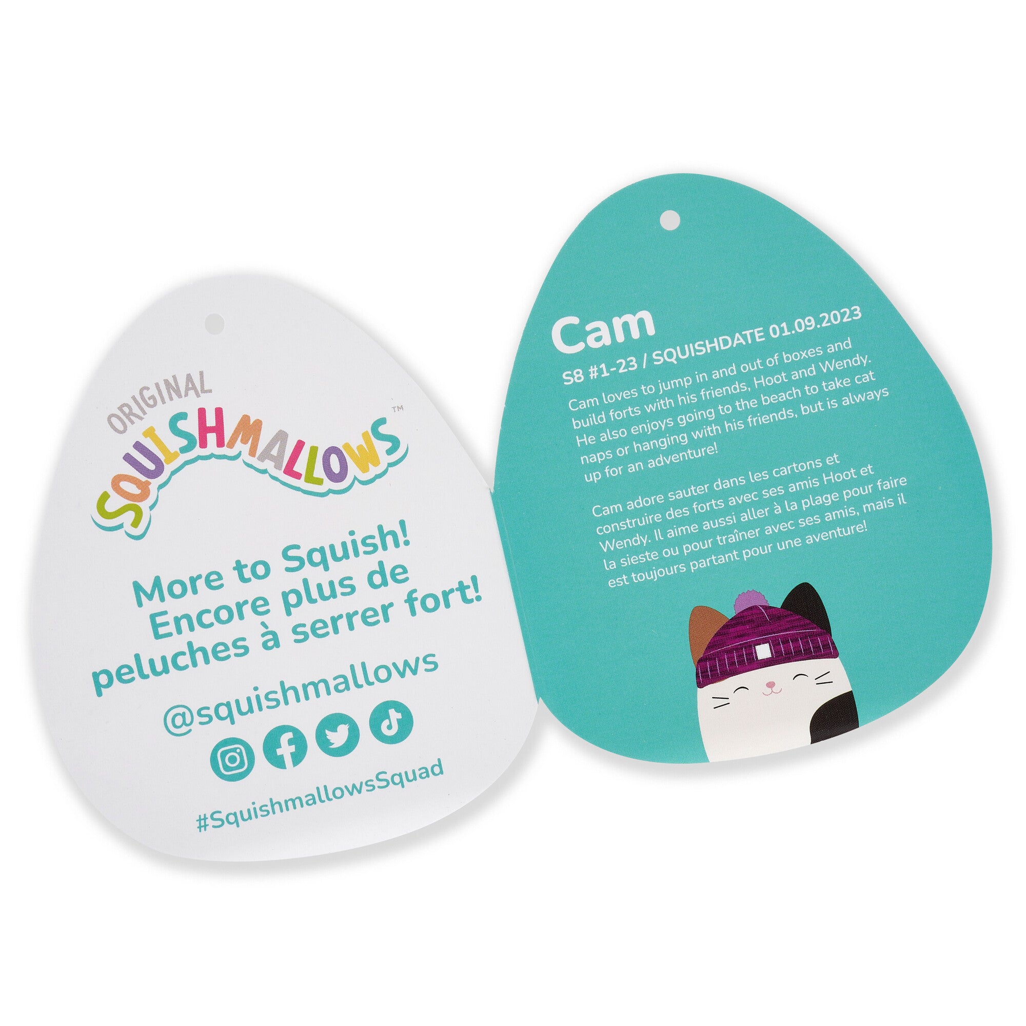 14-Inch Cam Calico Cat with Purple Hat