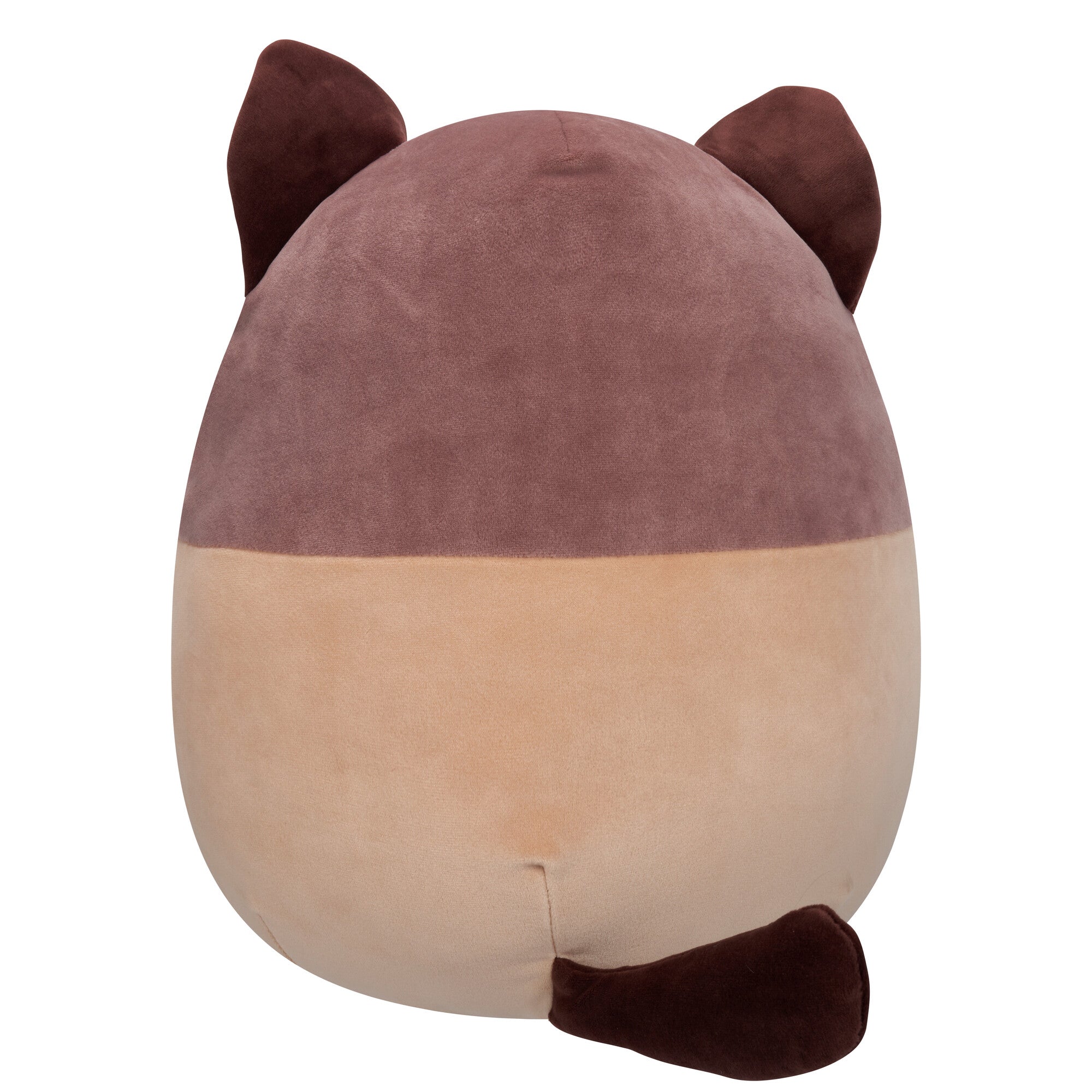 16-Inch Woodward the Brown and Tan Snowshoe Cat