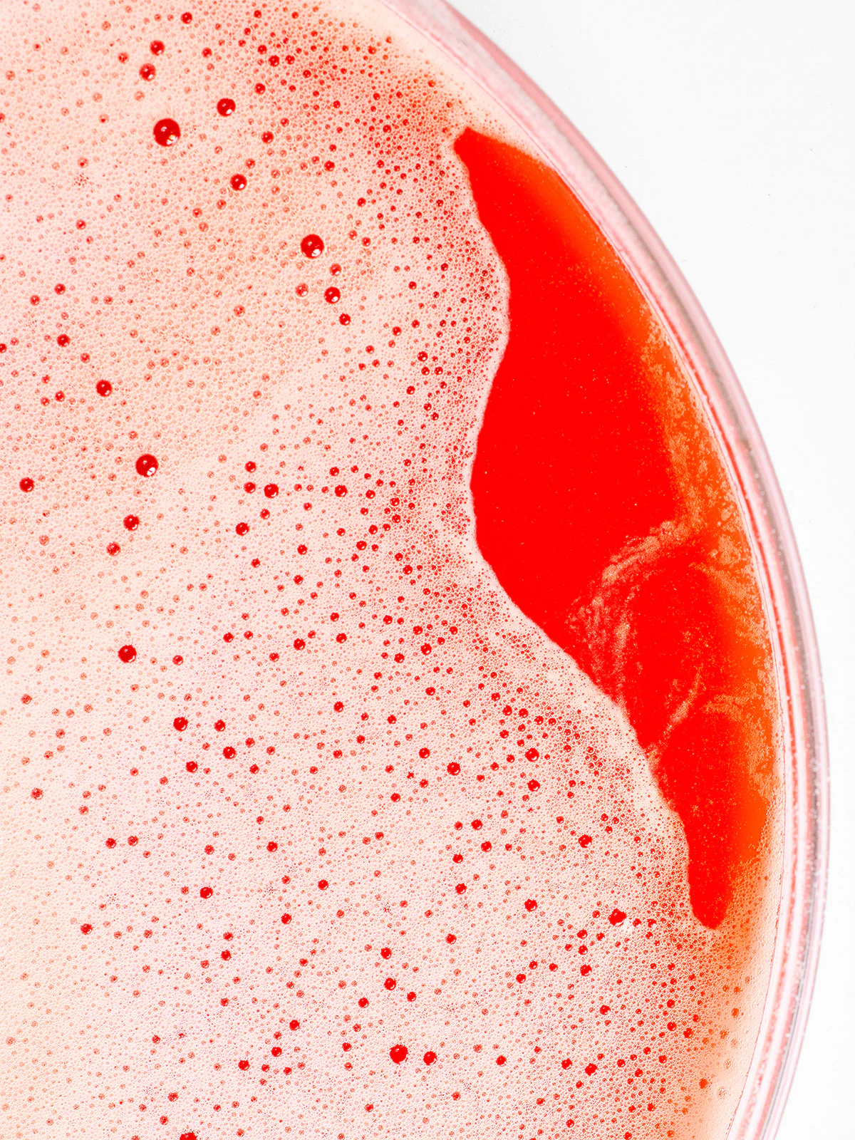 Przedtreningówka PRE-WORKOUT - suplement diety (360g) czerwona pomarańcza