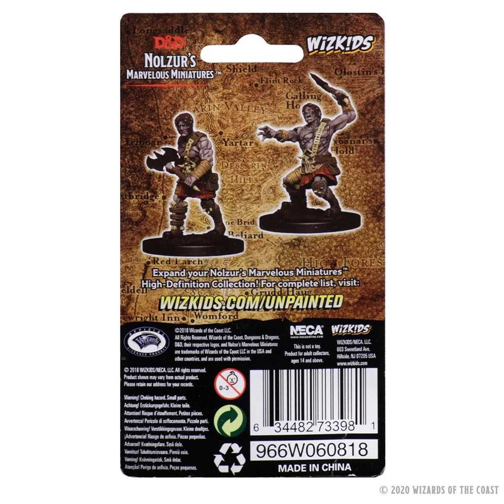 D&D Unpainted Miniatures: Nameless One