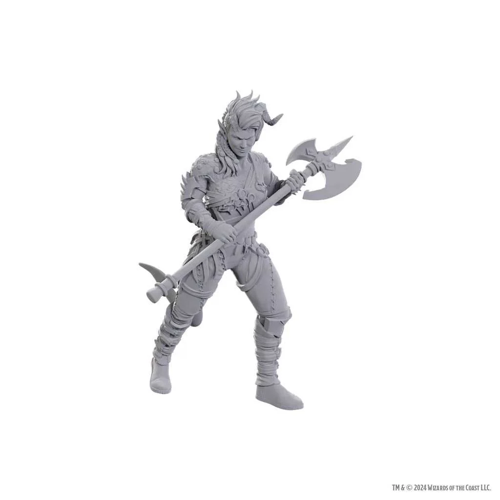 D&D Nolzur's Marvelous Unpainted Miniatures: Special Edition Baldur's Gate 3 - Wyll & Karlach