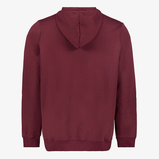 Essentials Small Logo heren hoodie rood