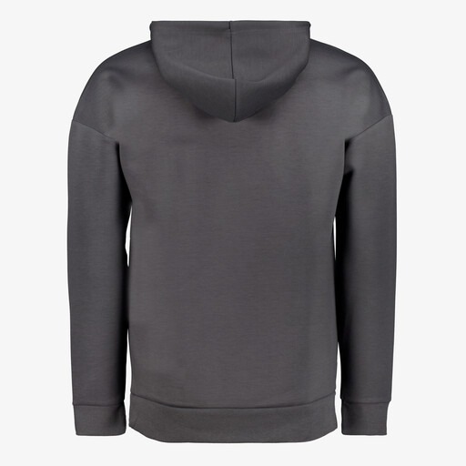 Heren hoodie grijs