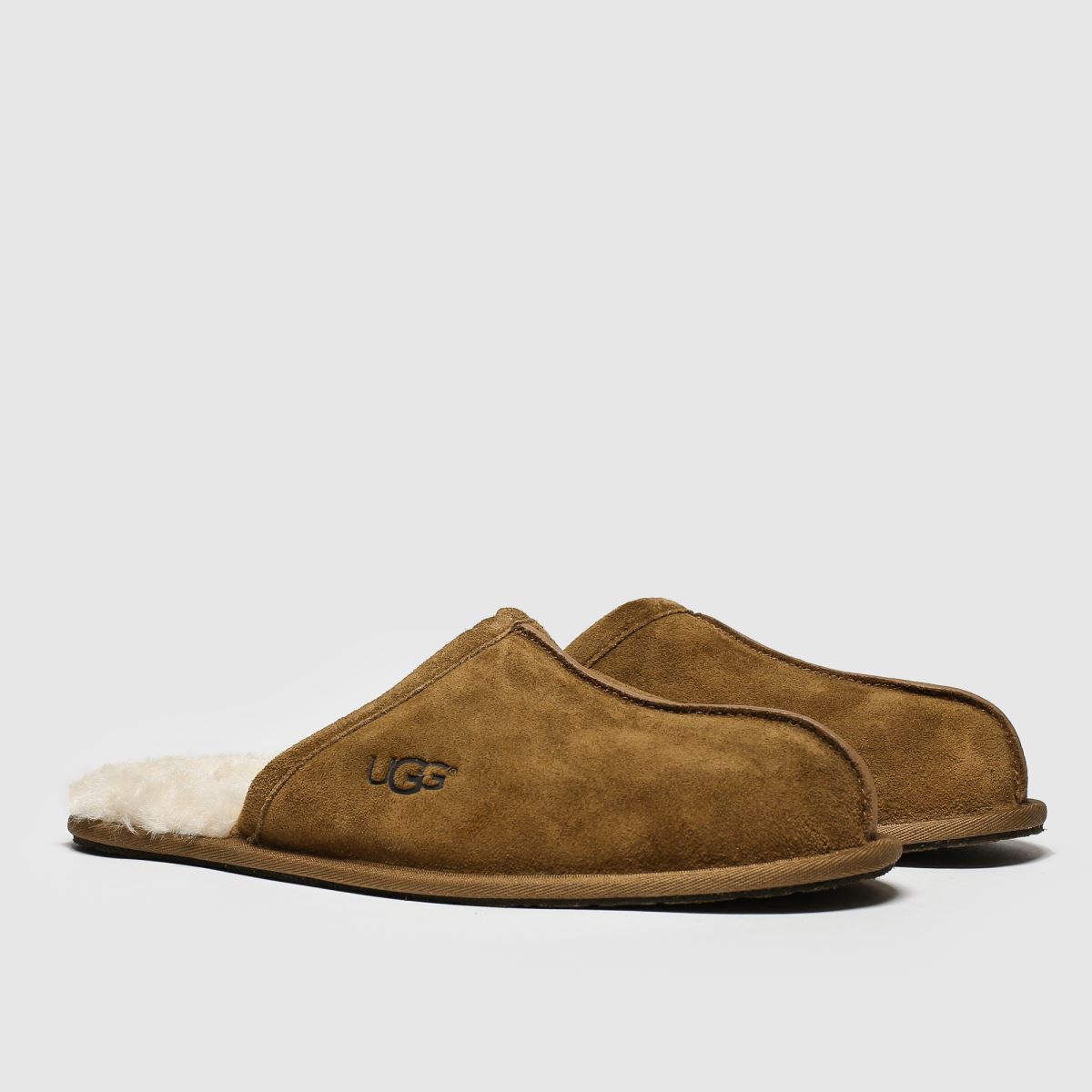ugg  Scuff in Chestnut ugg  Scuff in Chestnut