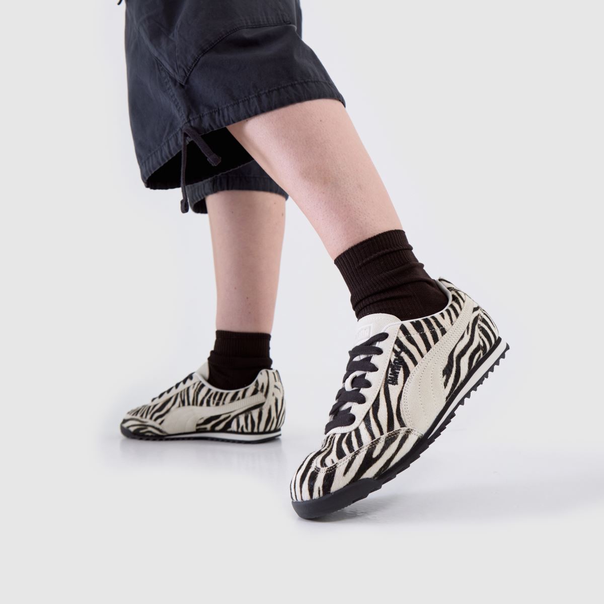 PUMA  Arizona in Black & White PUMA  Arizona in Black & White