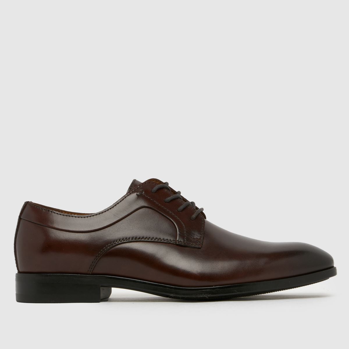 schuh  Rail Derby in Brown schuh  Rail Derby in Brown