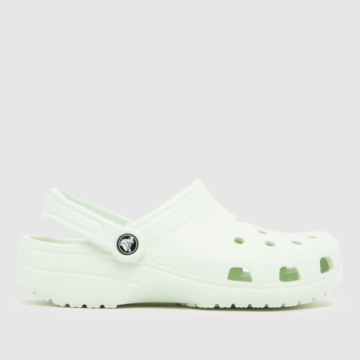 Crocs  Classic Clog in Light Green Crocs  Classic Clog in Light Green