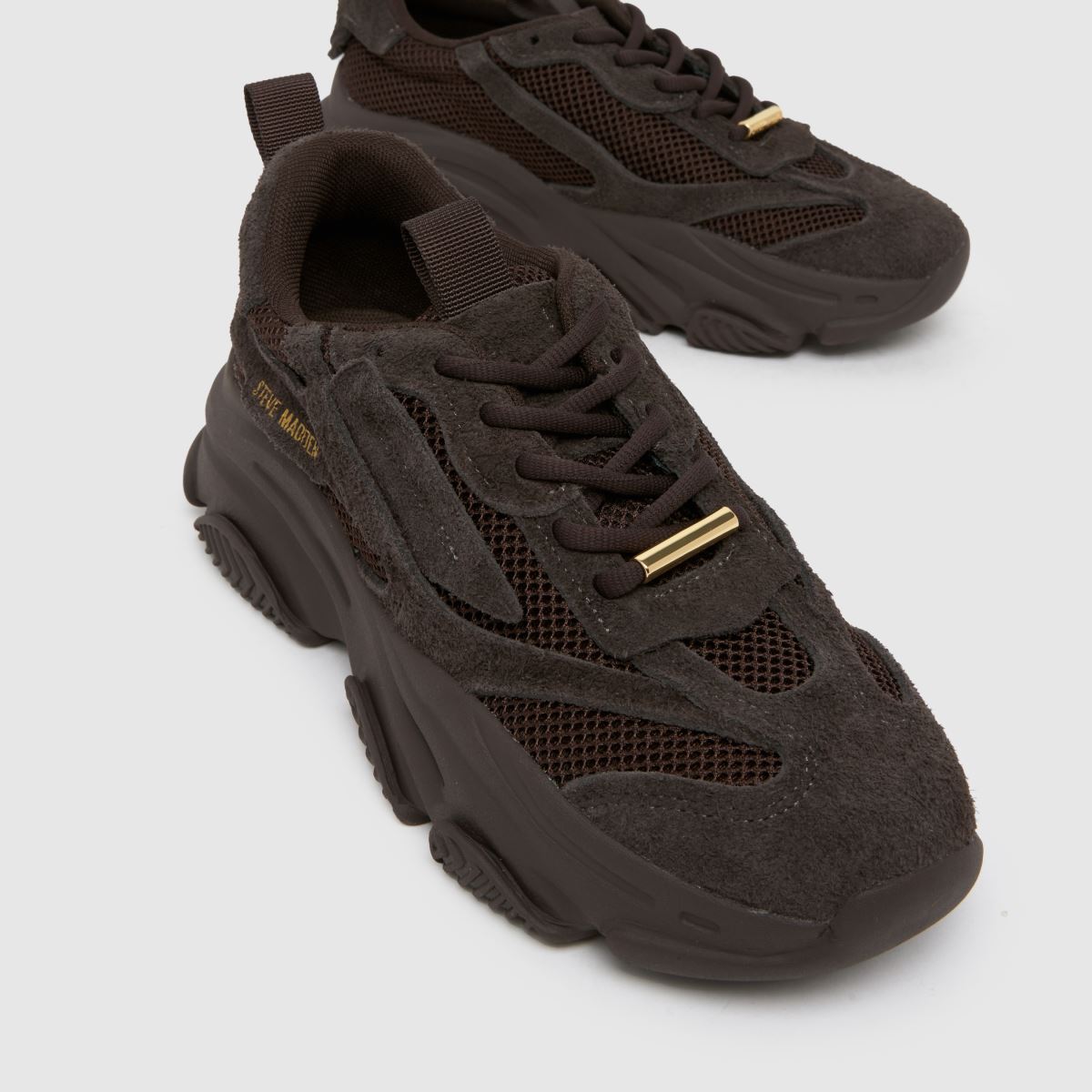 Steve Madden  Possession in Dark Brown Steve Madden  Possession in Dark Brown