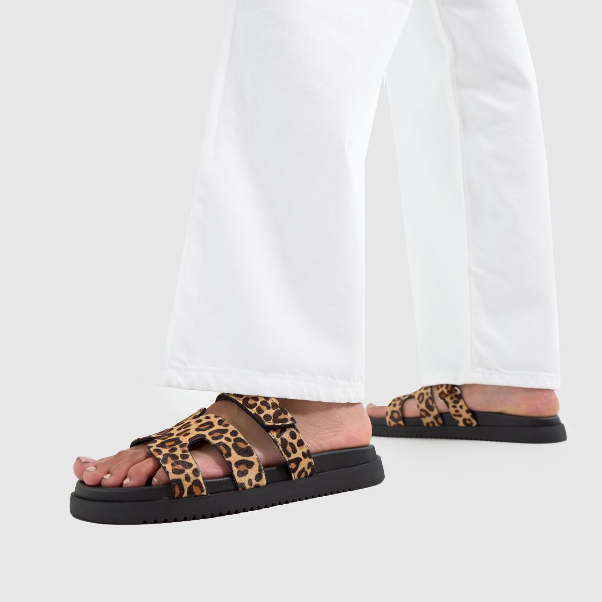 Steve Madden  Missile in Print Steve Madden  Missile in Print