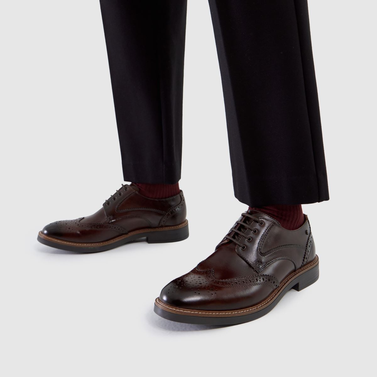 Base London  York Brogue in Brown Base London  York Brogue in Brown