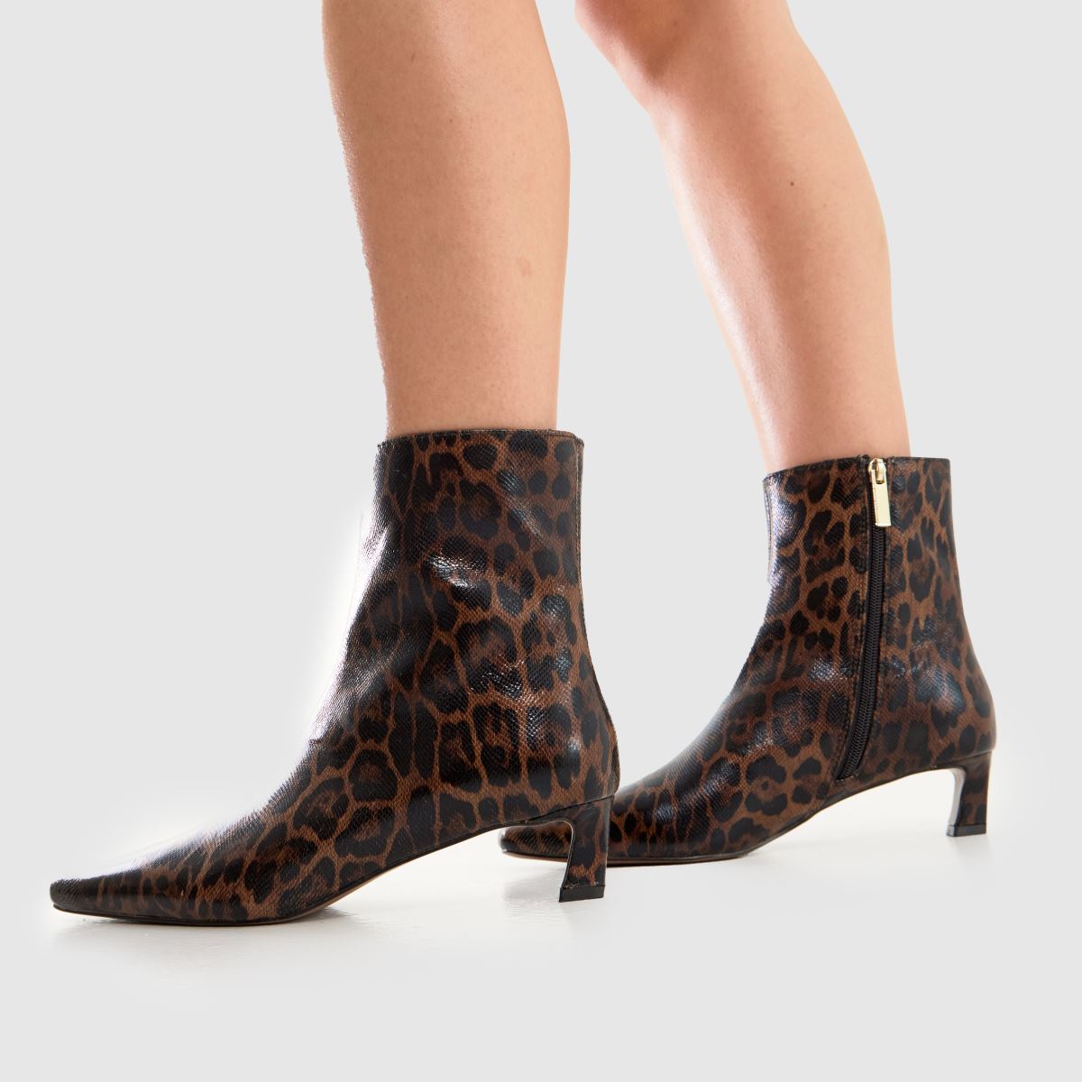 schuh  Bexley Kitten Heel in Brown Multi schuh  Bexley Kitten Heel in Brown Multi